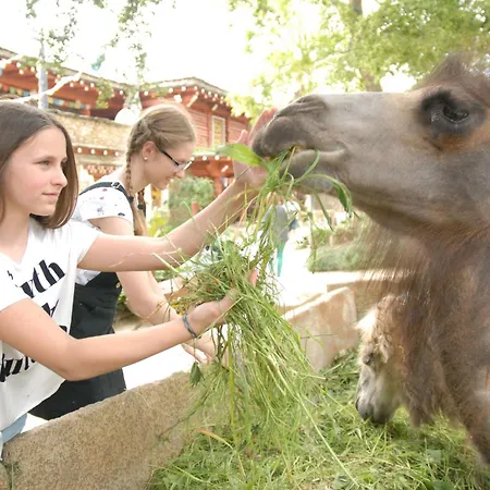 Naturschutz-tierpark Pandahoehle Апартаменты *